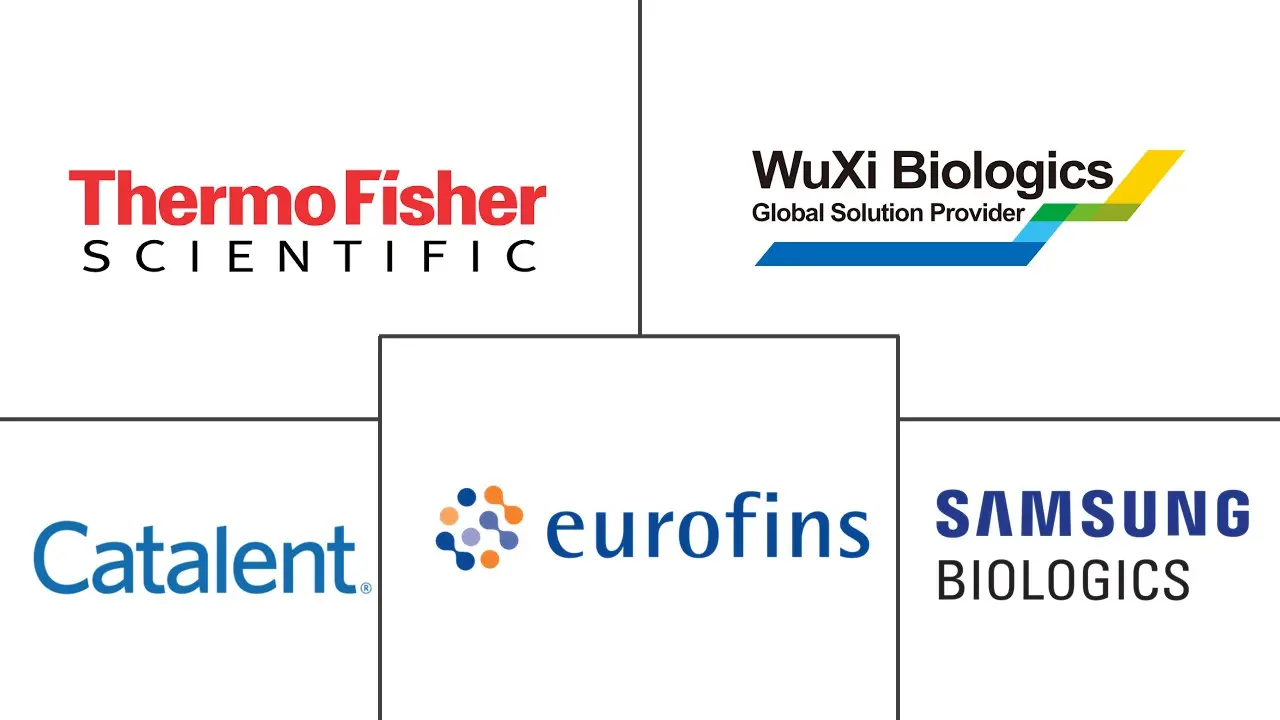 大分子原料药 CDMO 市场规模