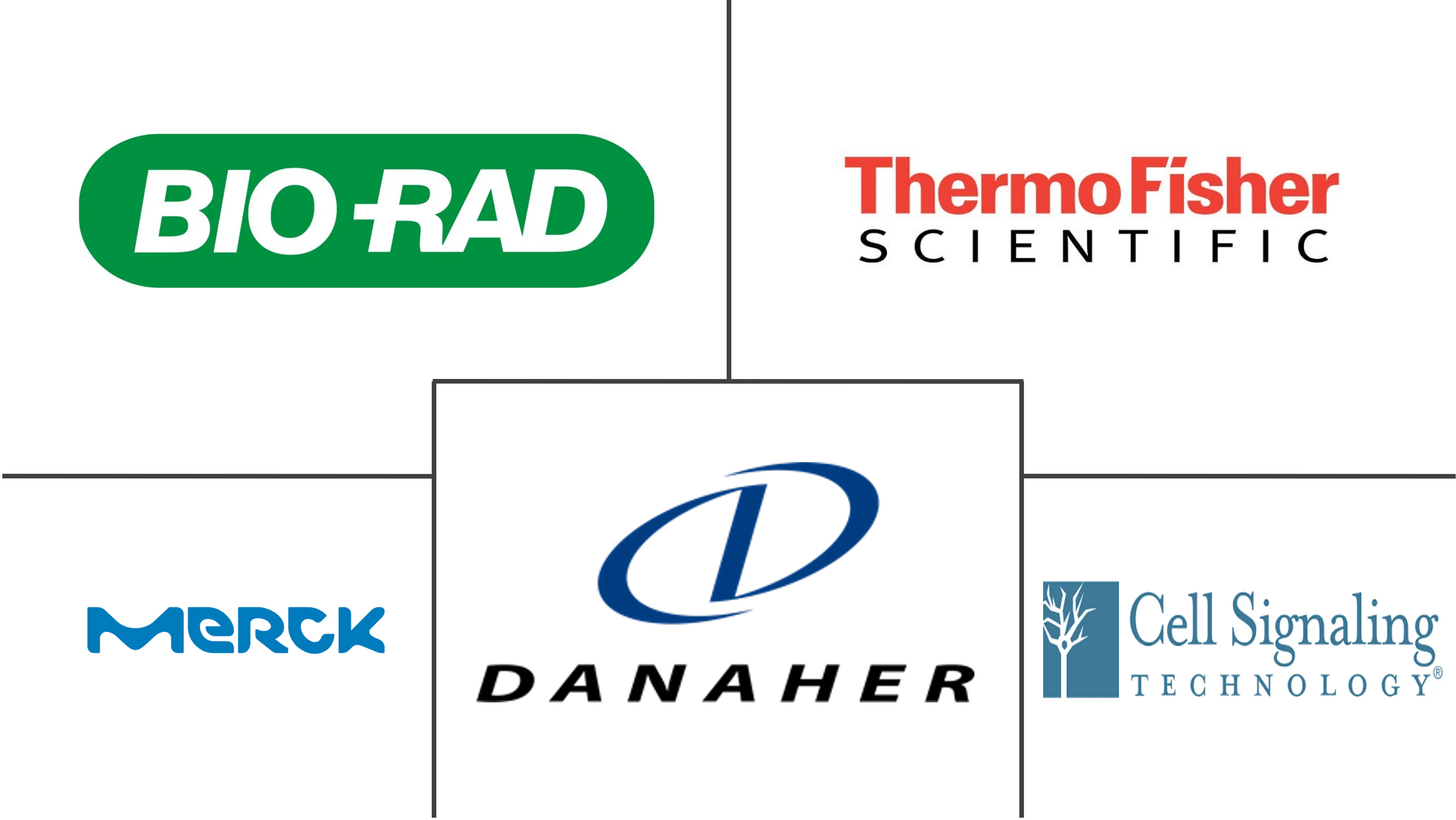 蛋白质检测市场规模