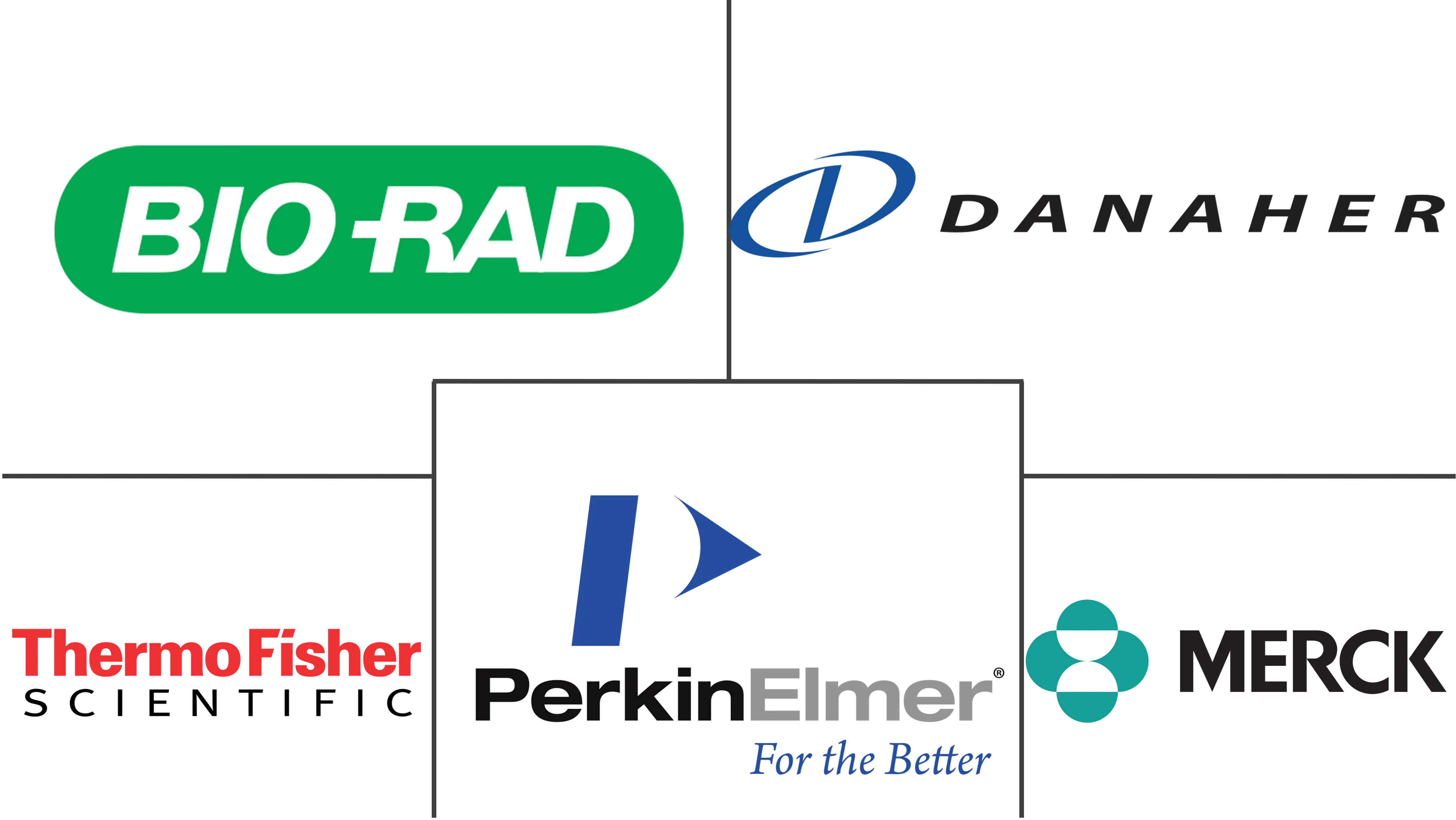 全球蛋白质印迹市场规模和份额