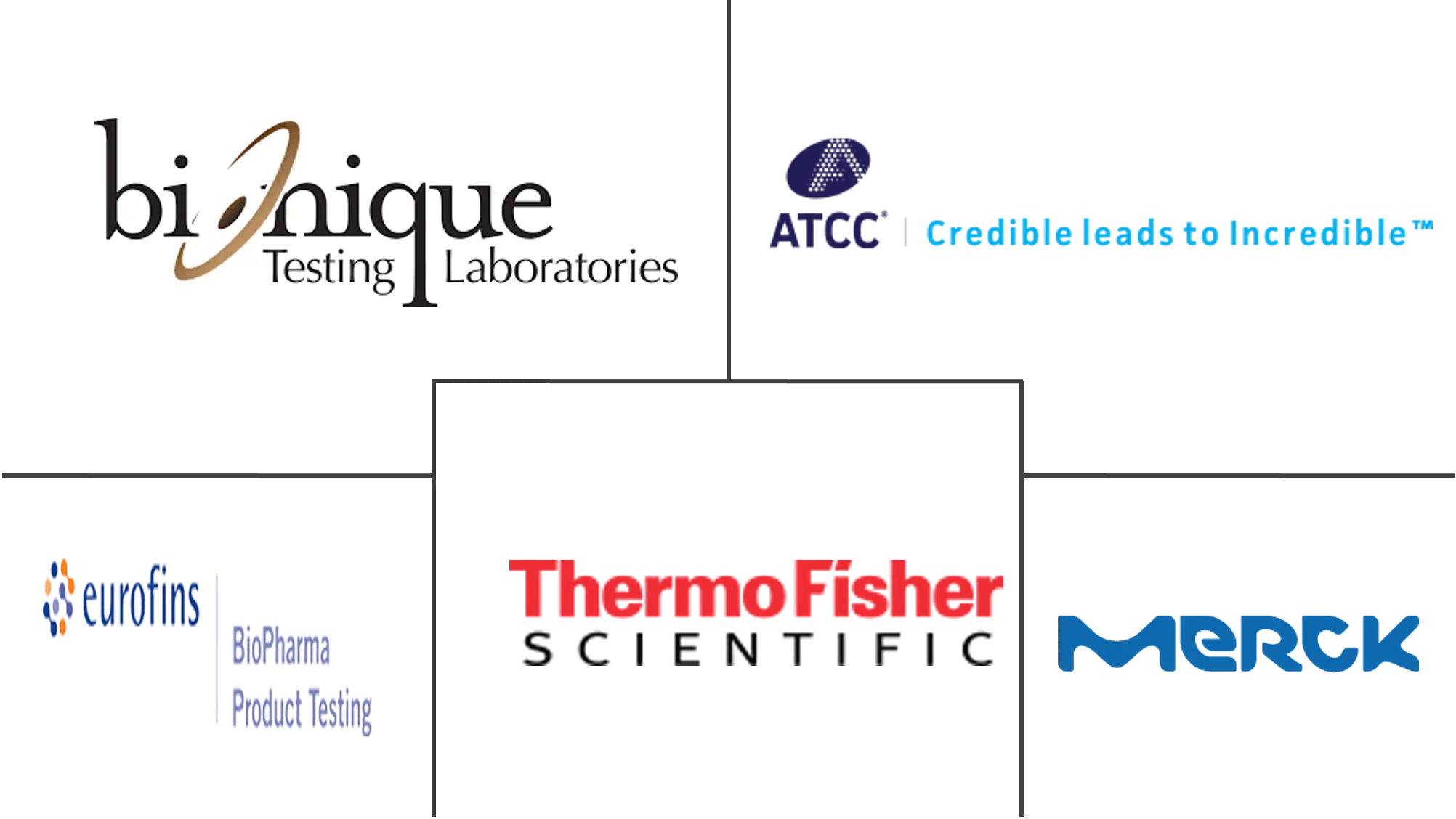 支原体检测市场规模及份额