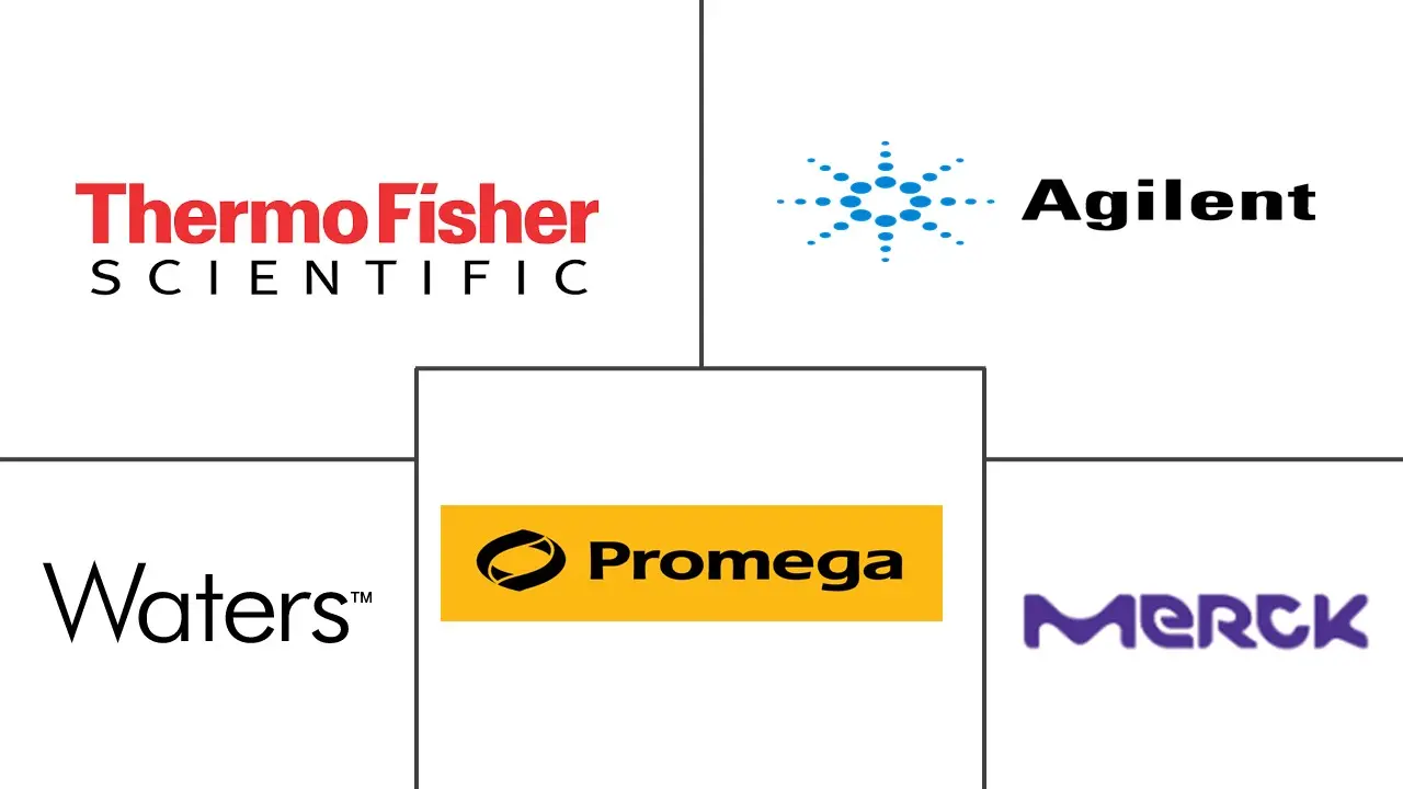 蛋白质表征和定量市场规模