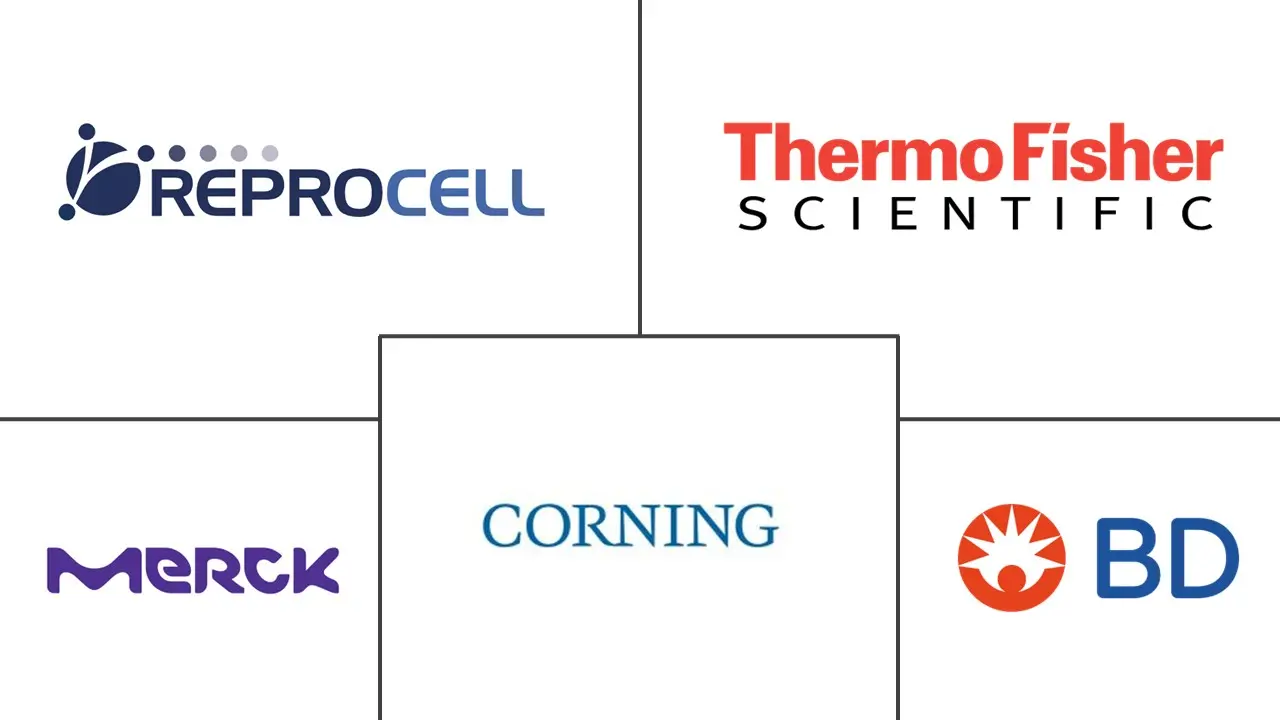 支架技术市场规模和份额