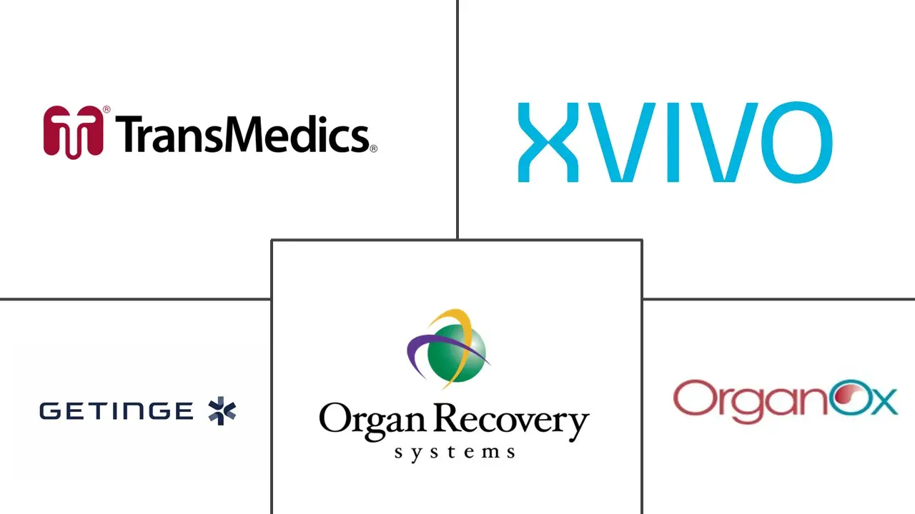 灌注系统市场规模和份额