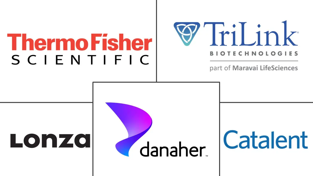 mRNA合成服务市场规模及份额