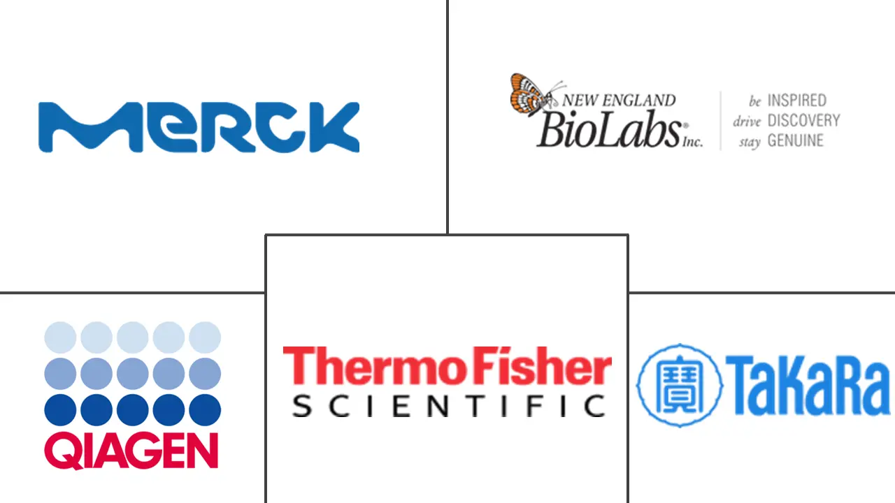 感受态细胞市场规模和份额