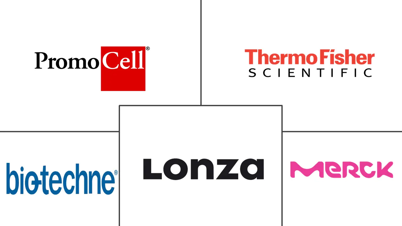 癌症干细胞市场规模和份额