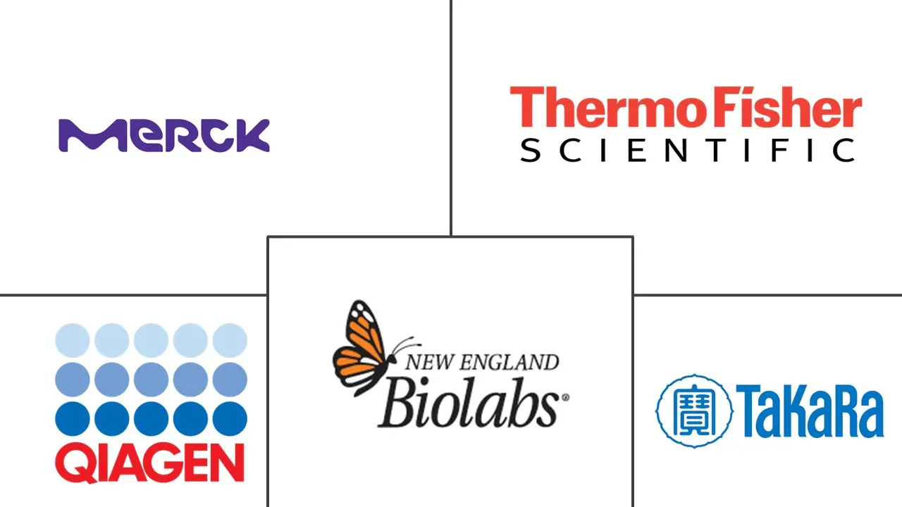DNA 聚合酶市场规模和份额