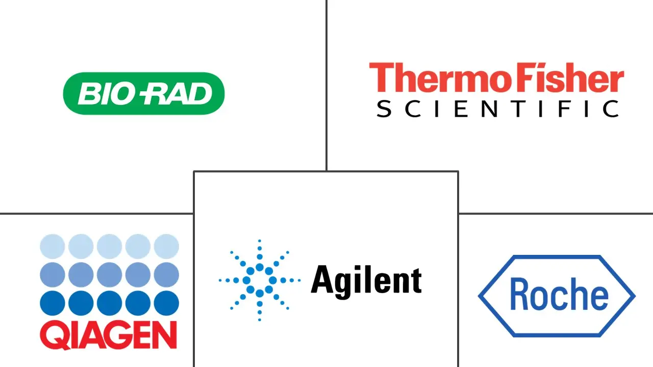 基因扩增技术市场规模和份额