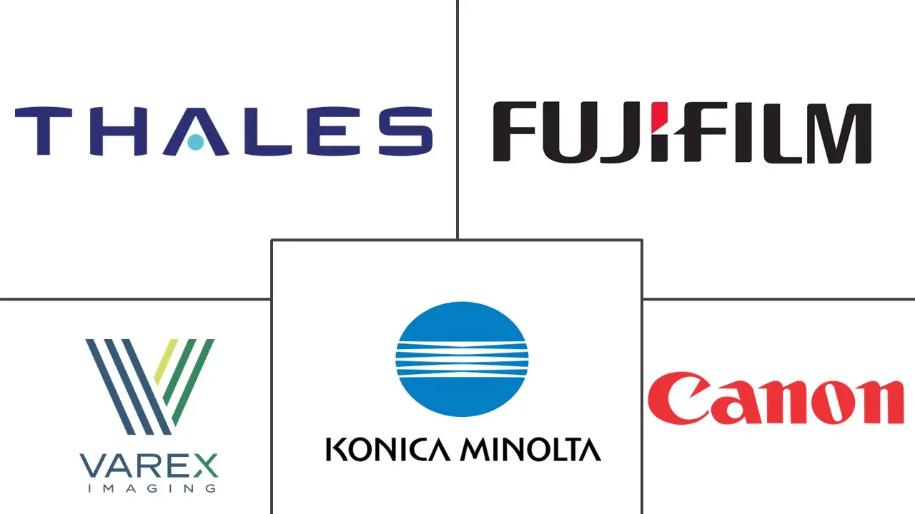 非晶硅 X 射线平板探测器市场规模和份额