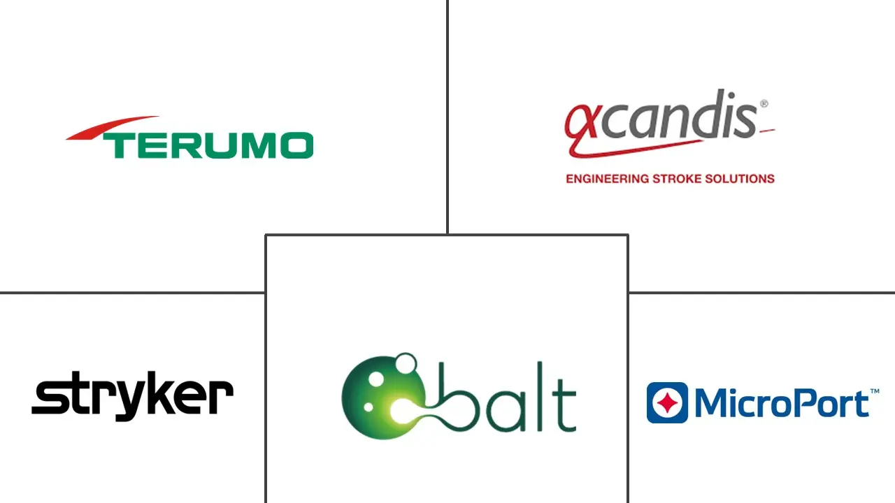 颅内支架市场规模和份额