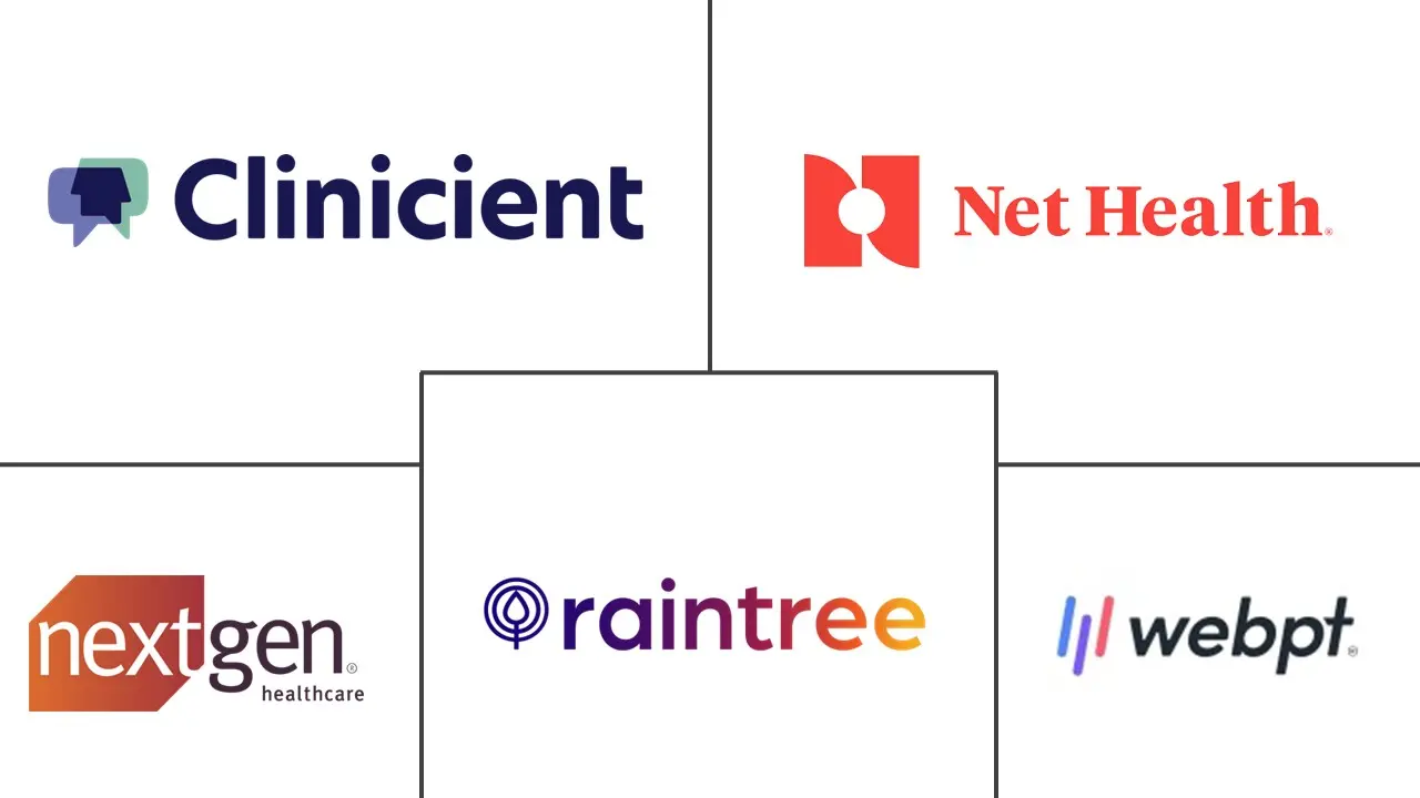 物理治疗软件市场规模和份额