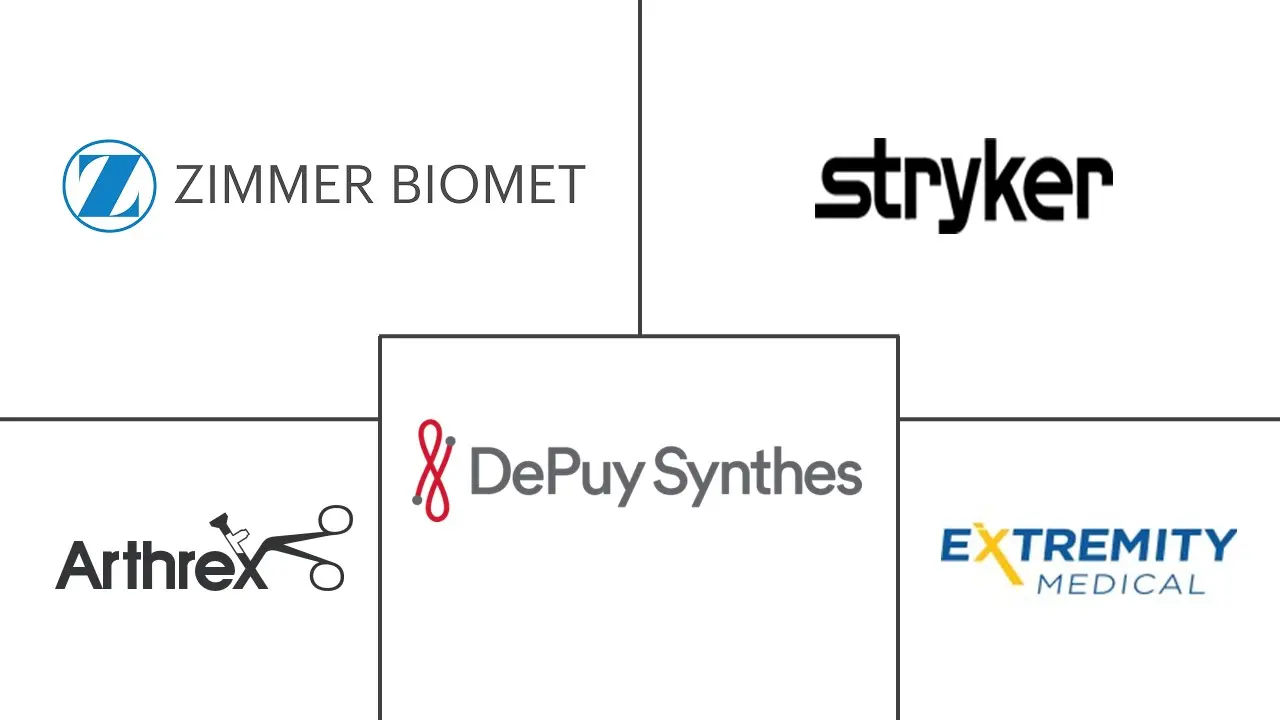 拇囊炎矫正系统市场规模