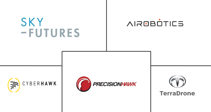 石油和天然气无人机服务市场规模