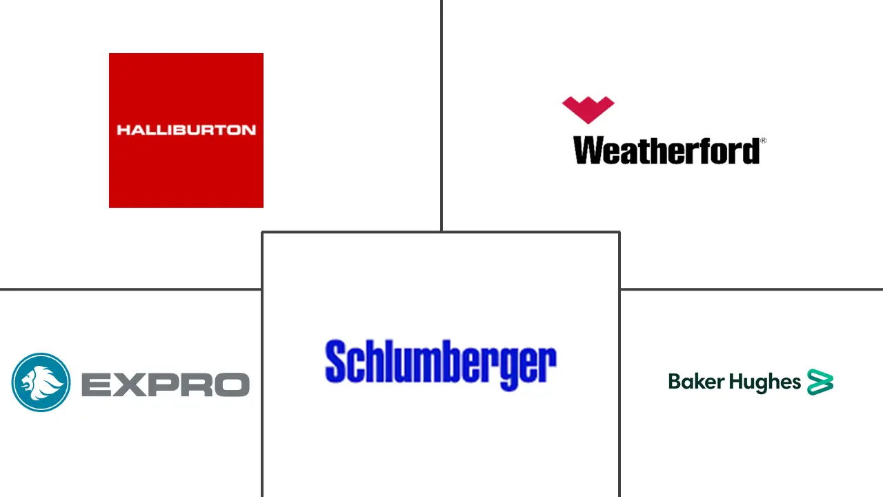 中东有线测井服务市场规模