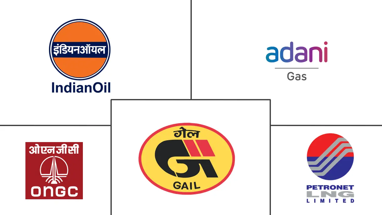 印度天然气市场规模和份额