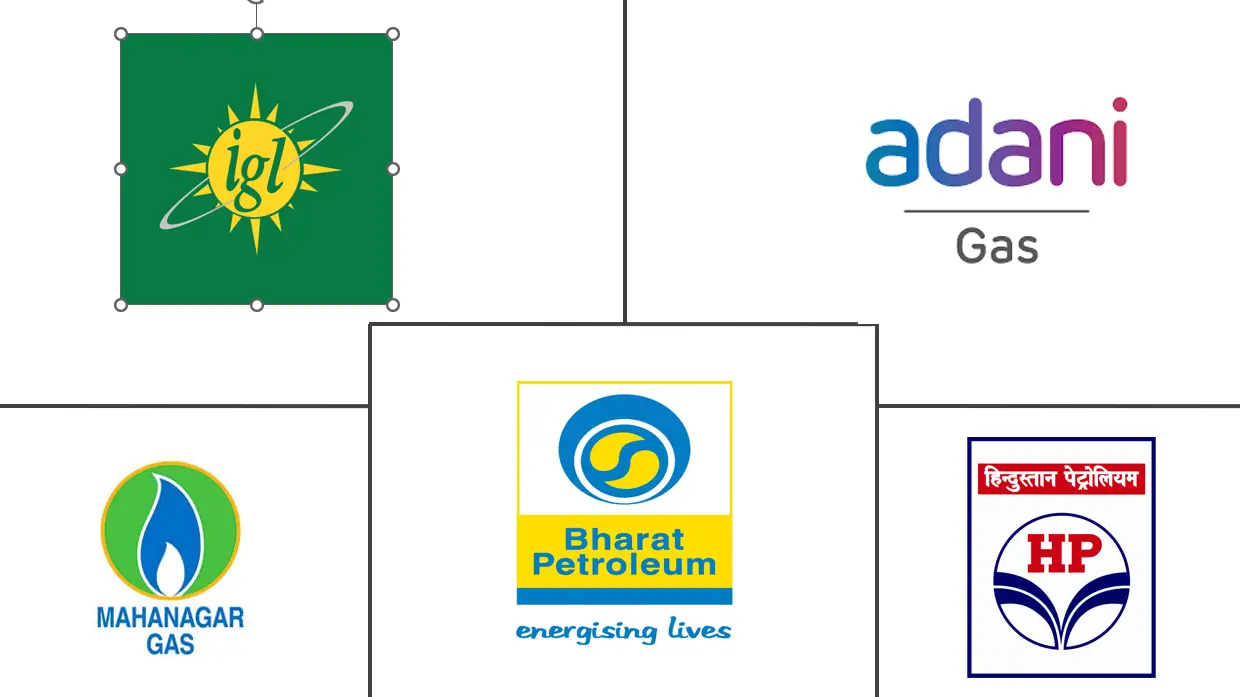 印度压缩天然气市场规模