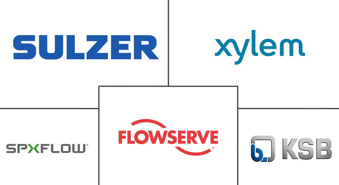 正排量泵市场规模和份额