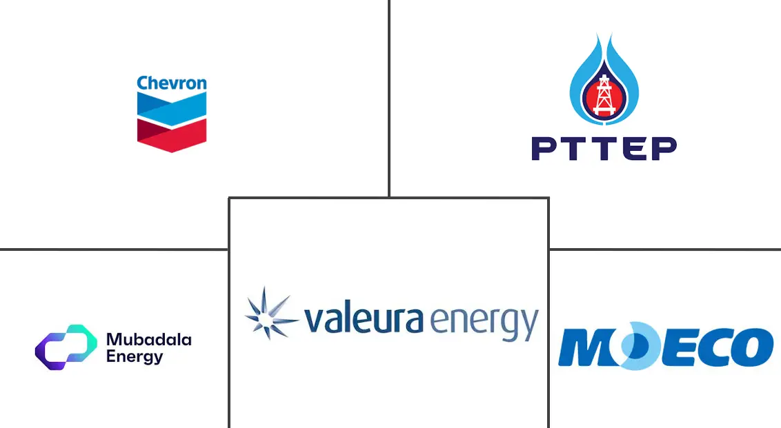 泰国油气上游市场规模及份额