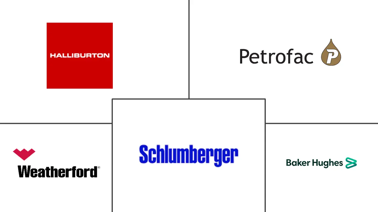 非洲油田服务市场规模