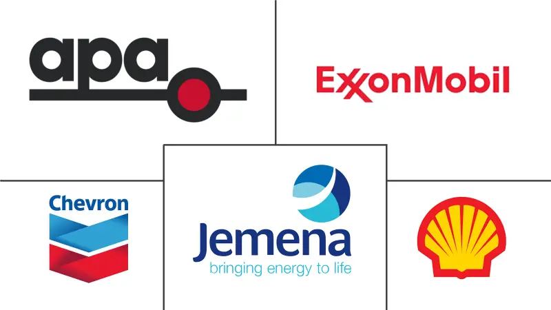 澳大利亚石油和天然气中游市场规模