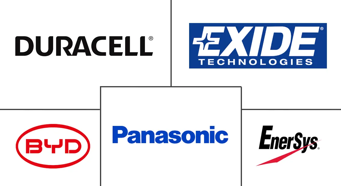 德国充电电池市场规模