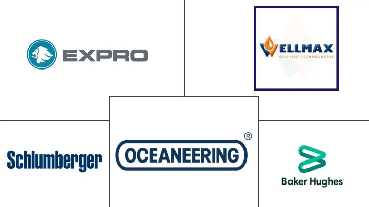 亚太地区油井干预市场规模