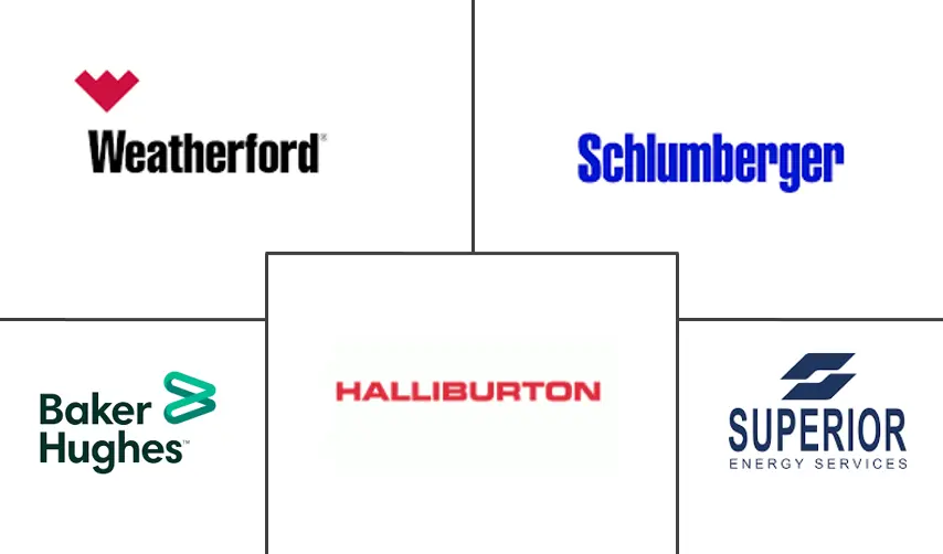 欧洲有线测井服务市场规模