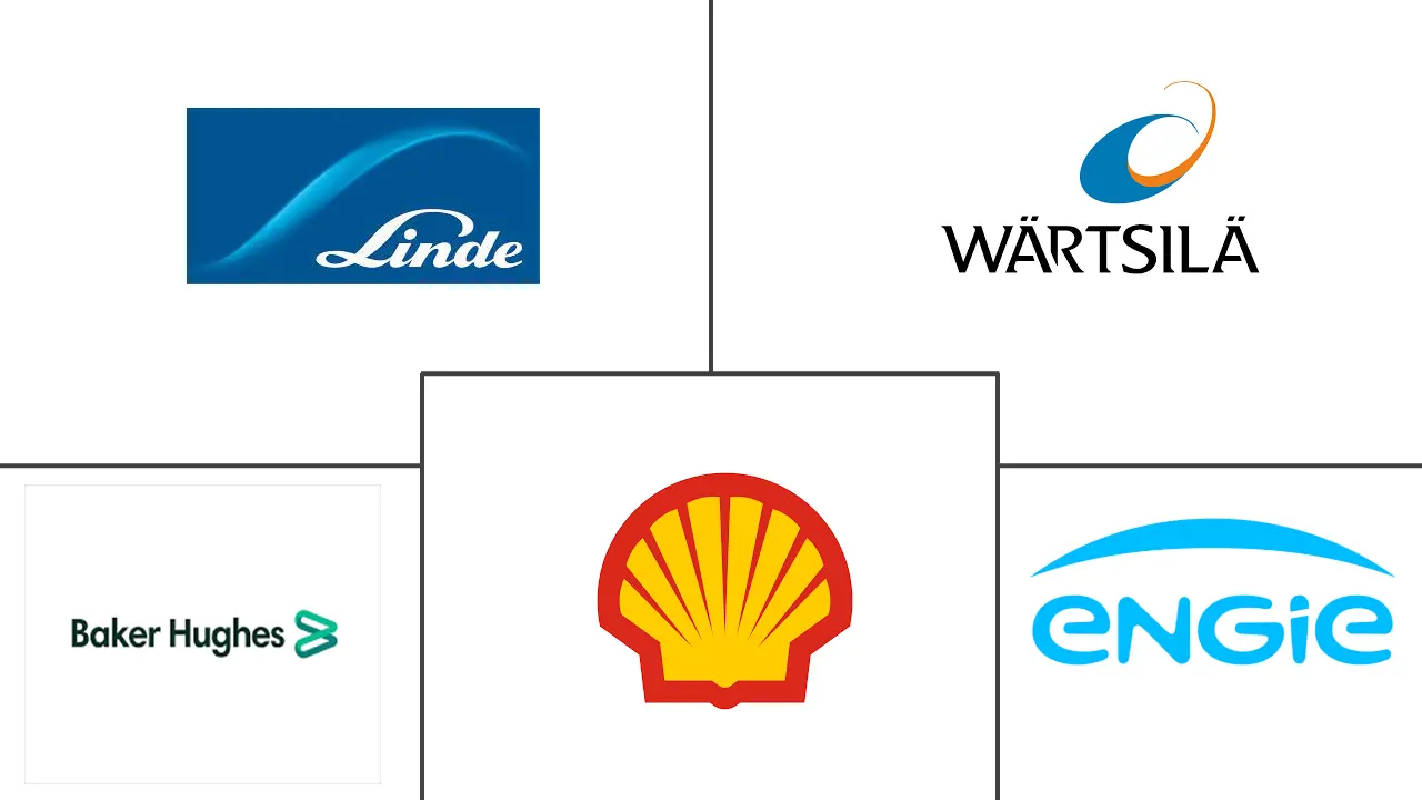 液化天然气再气化终端市场规模