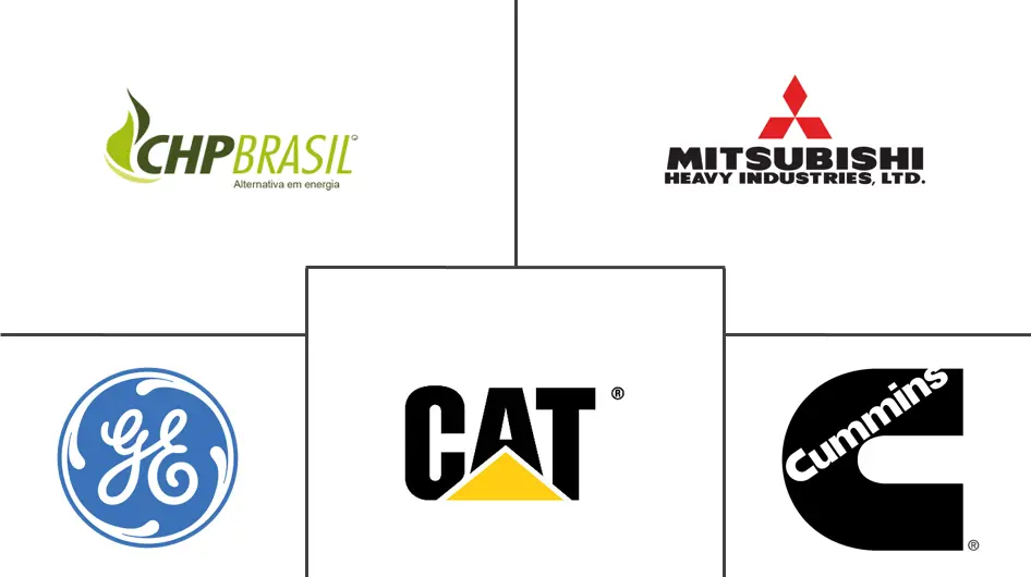 巴西热电联产市场规模