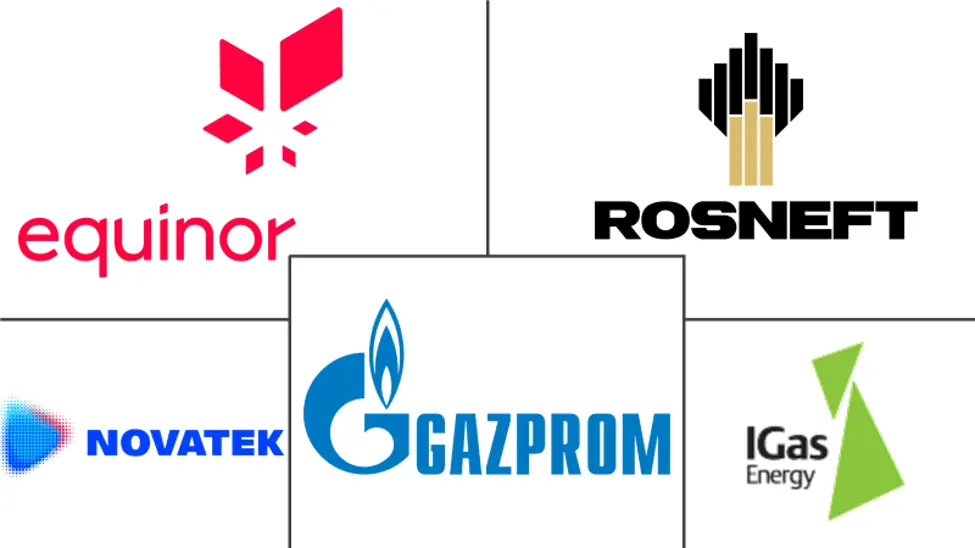 欧洲水力压裂市场规模