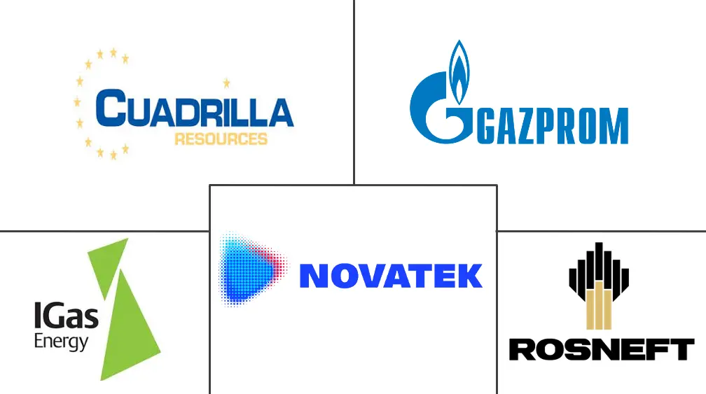 欧洲水力压裂液市场规模