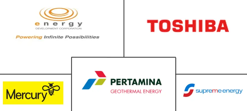 亚太地区地热能市场规模