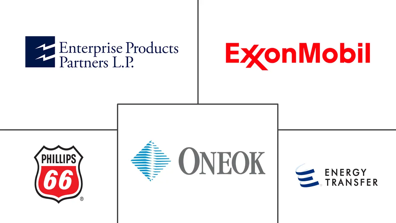 液化天然气市场规模和份额