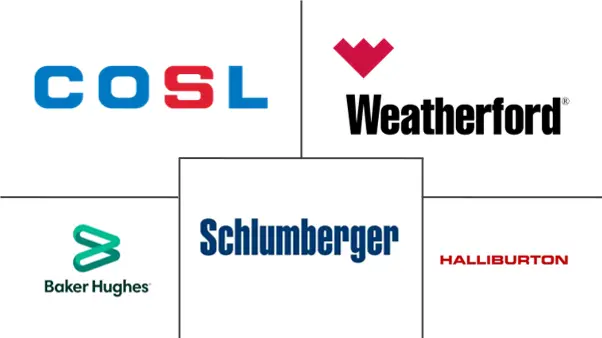 欧洲油井干预市场规模