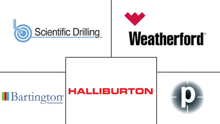 石油和天然气磁测距市场规模