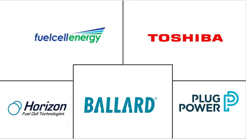 中国燃料电池市场规模