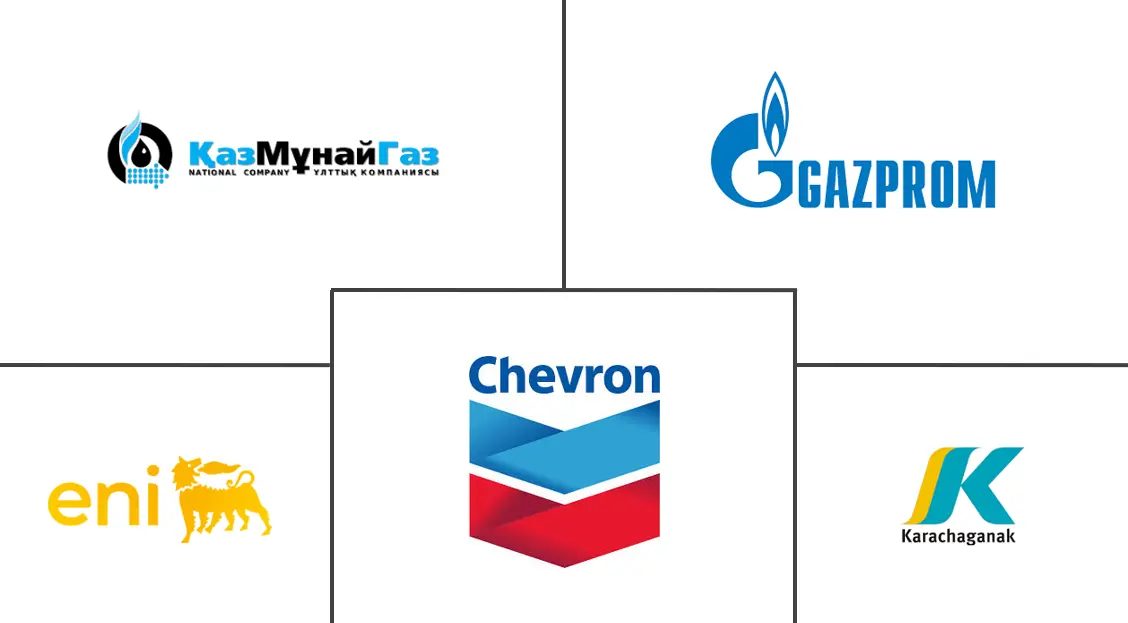 哈萨克斯坦石油天然气上游市场规模及份额
