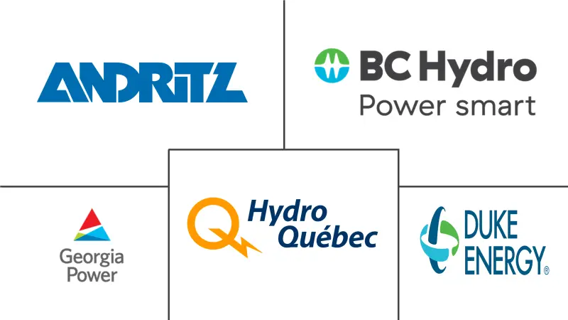 北美水电市场规模