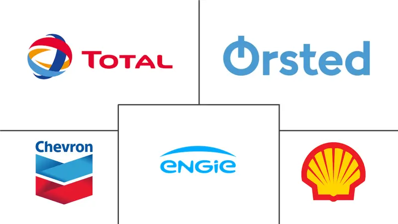 丹麦石油和天然气中游市场规模