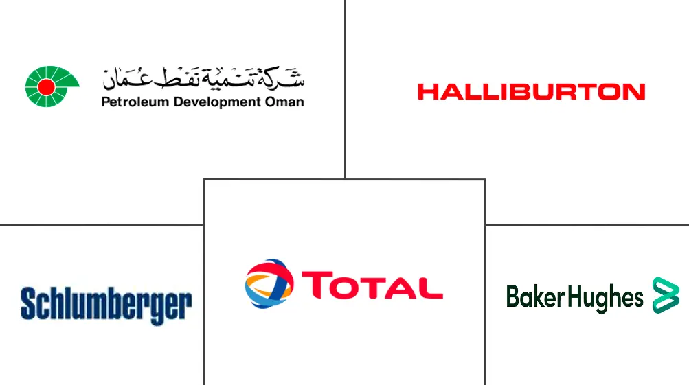 阿曼定向钻市场规模