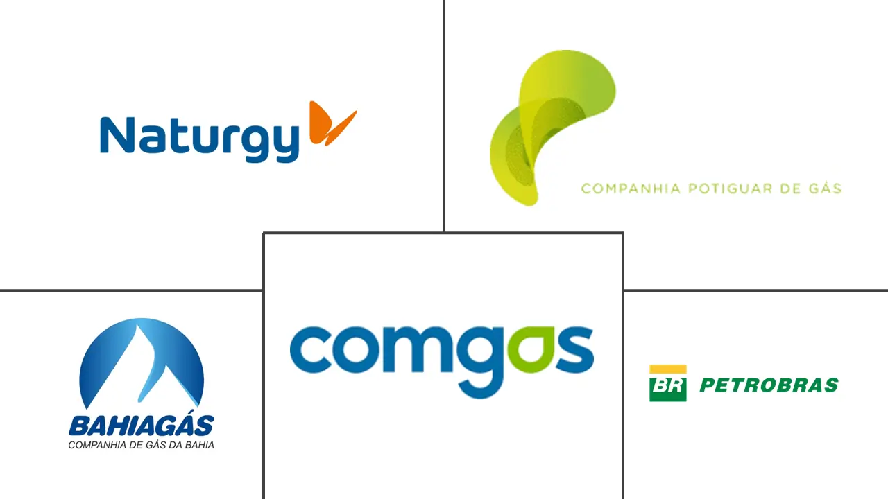 巴西城市燃气分销市场规模