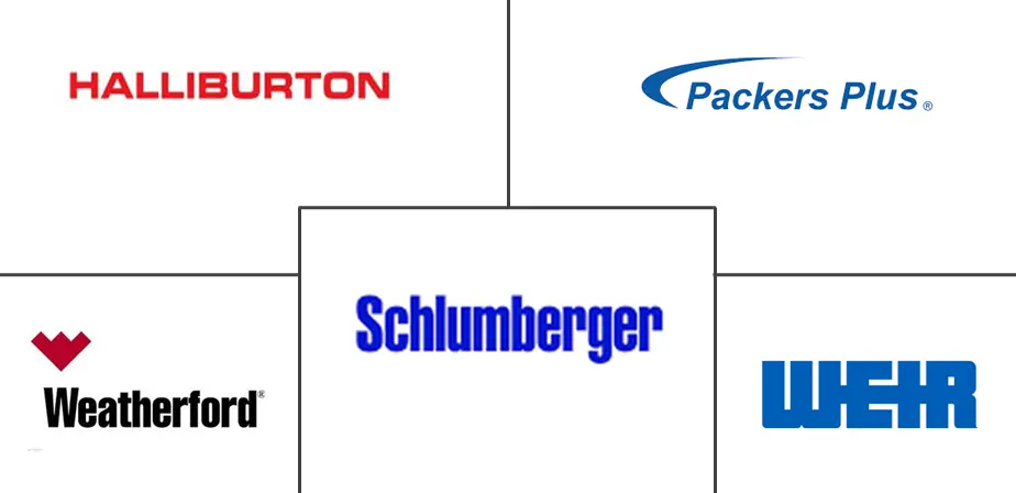 石油和天然气膨胀封隔器市场规模