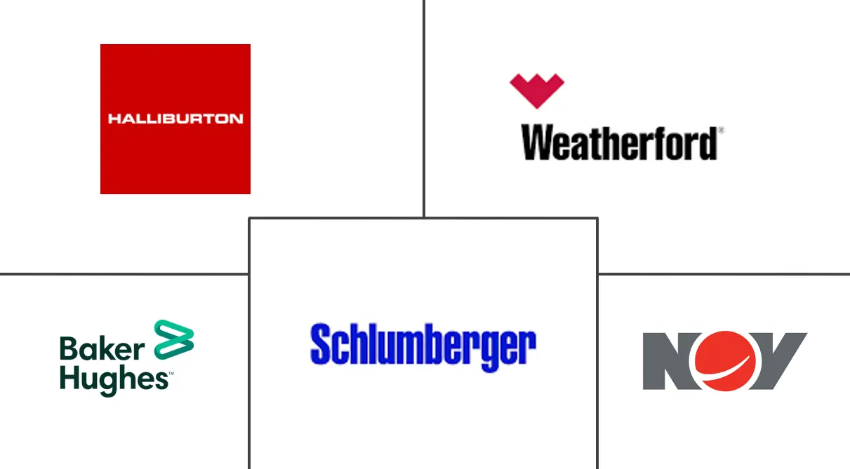 沙特阿拉伯完井设备和服务市场规模和份额分析