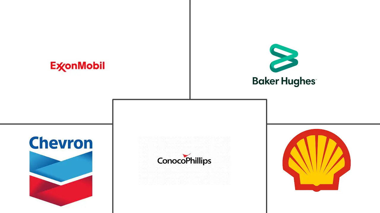 美国页岩油市场规模