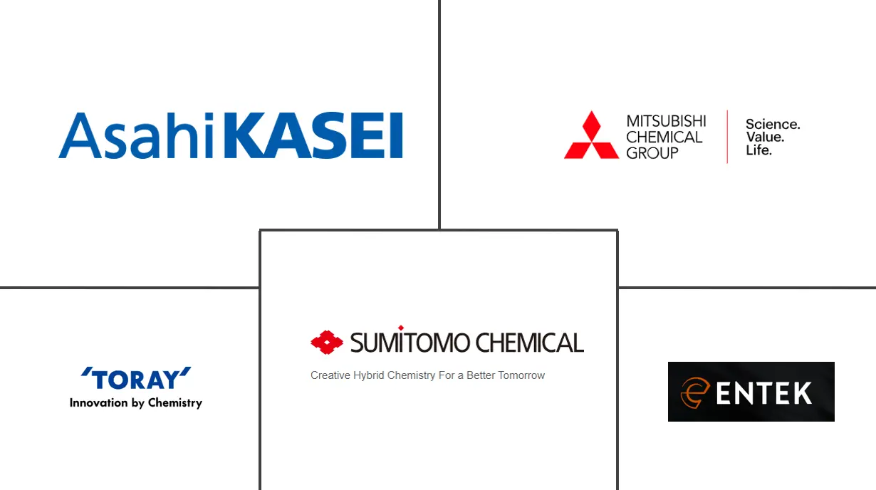 印度电动汽车电池分离器市场规模