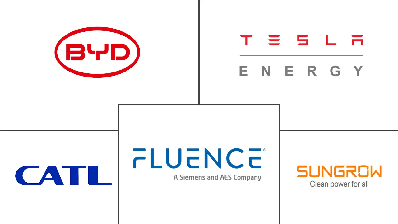 先进储能系统市场规模和份额