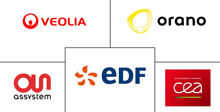 法国核电反应堆退役市场规模和份额分析