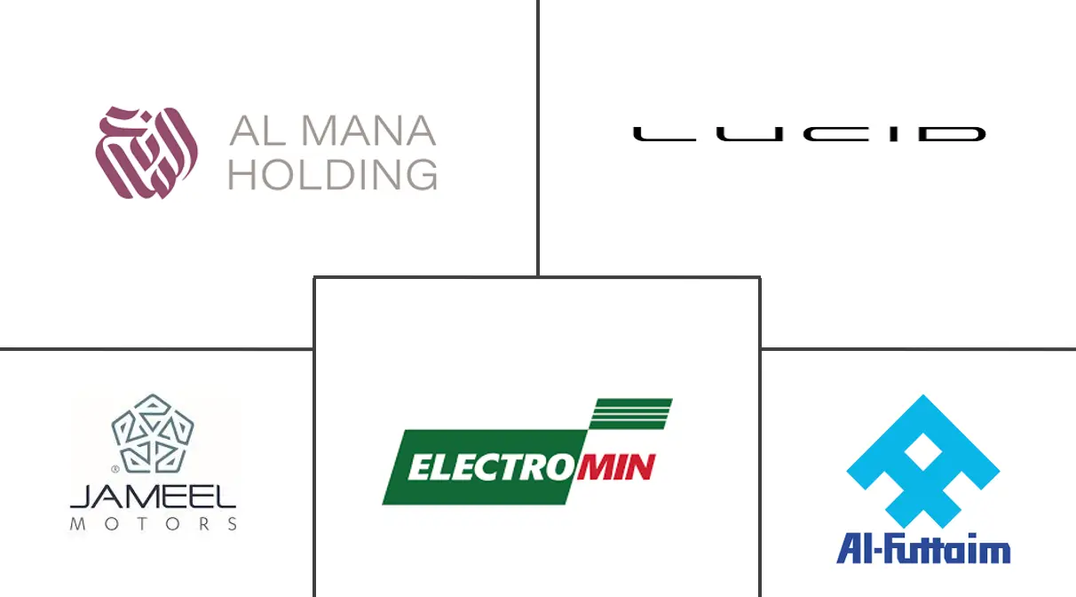 中东电动汽车经销商市场规模和份额