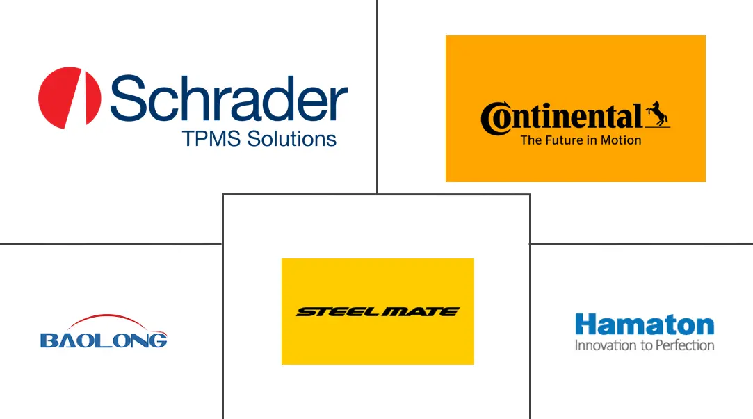 中国售后市场TPMS市场规模及份额