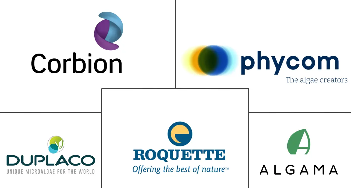 欧洲藻类蛋白市场规模和份额